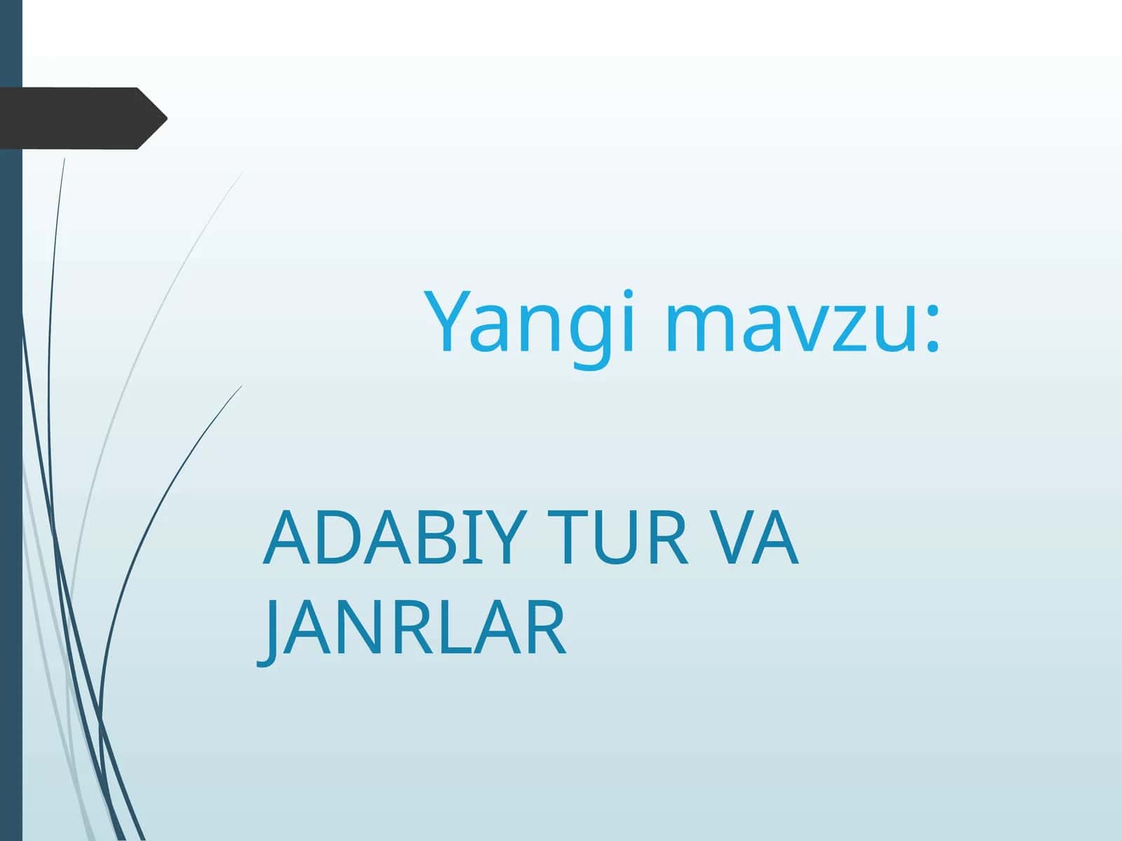 ADABIY TUR VA JANRLAR 1
