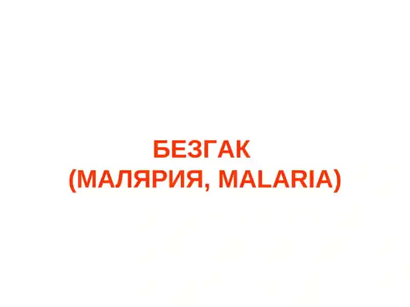 BEZGAK MALYARIYA, MALARIA