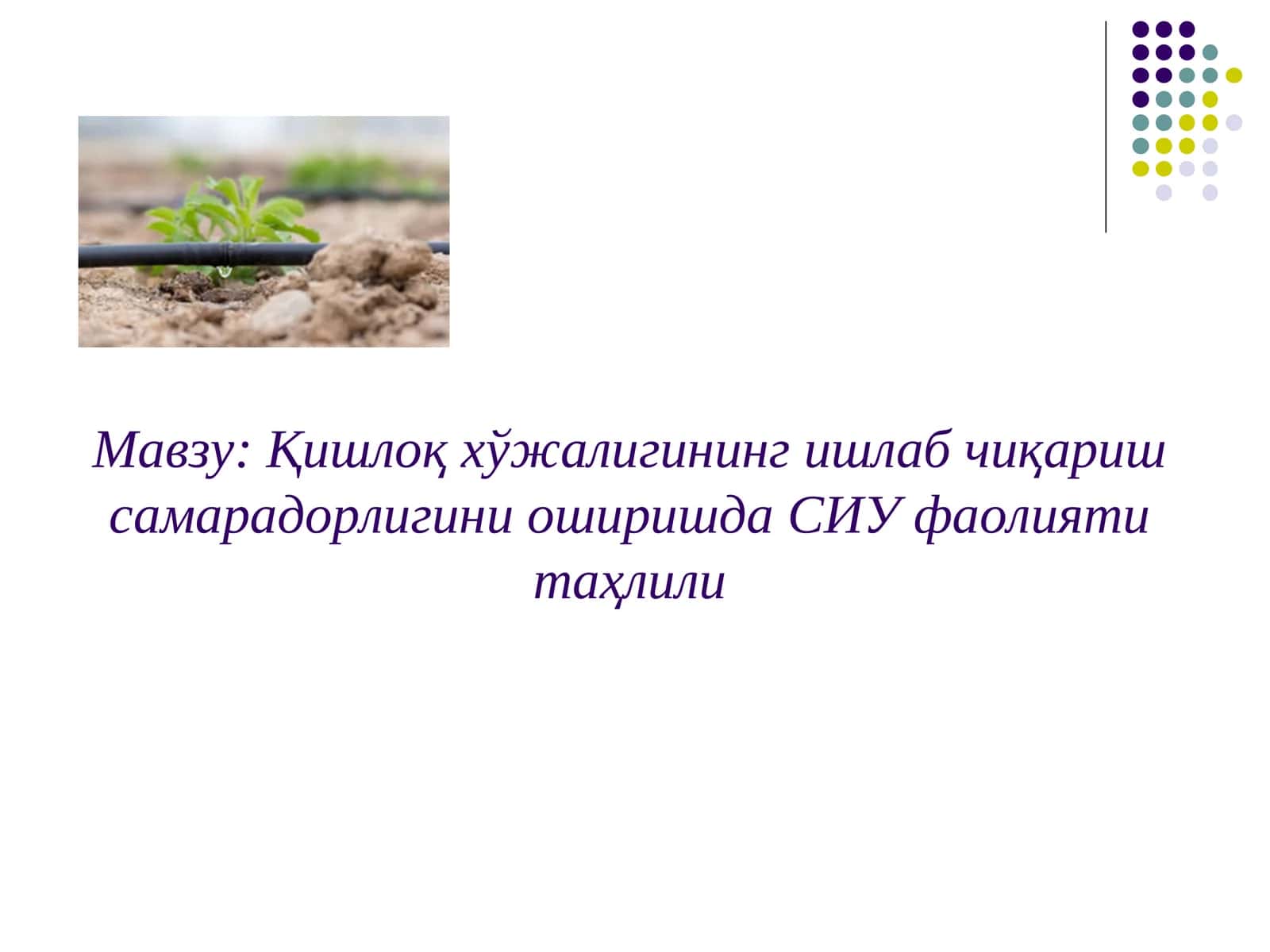 Қишлоқ хўжалигининг ишлаб чиқариш самарадорлигини оширишда СИУ фаолияти таҳлили 1