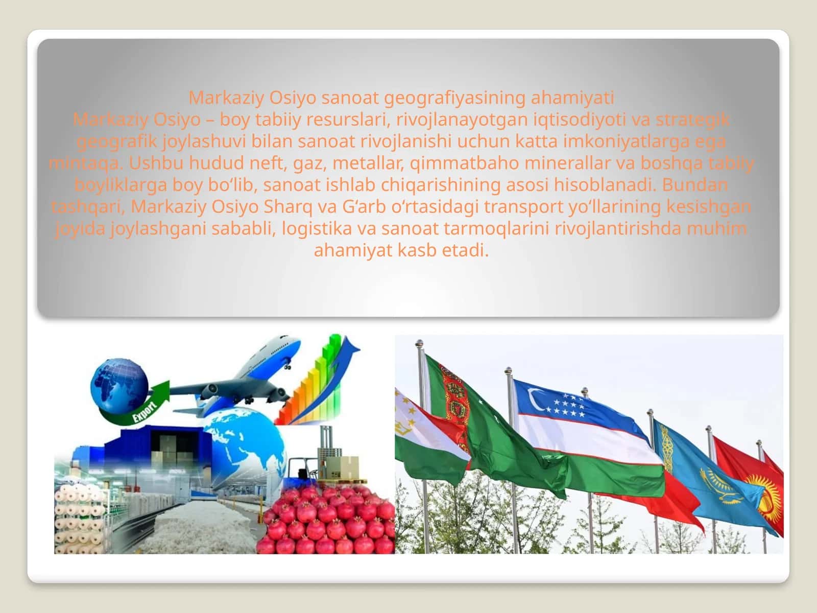 Markaziy Osiyo sanoat geografiyasining ahamiyati 1
