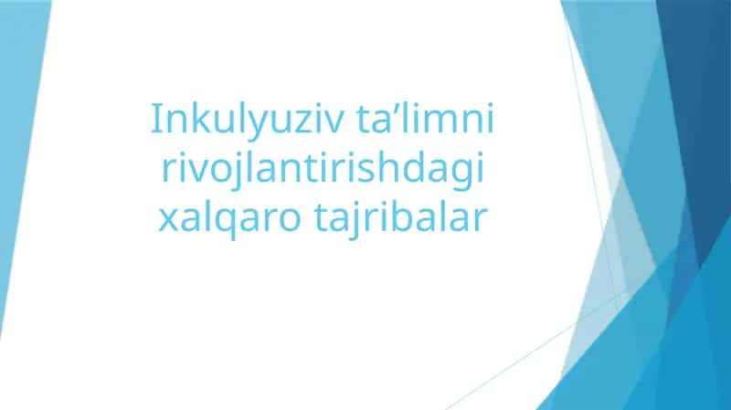 Inkulyuziv ta'limni rivojlantirishdagi xalqaro tajribalar 1