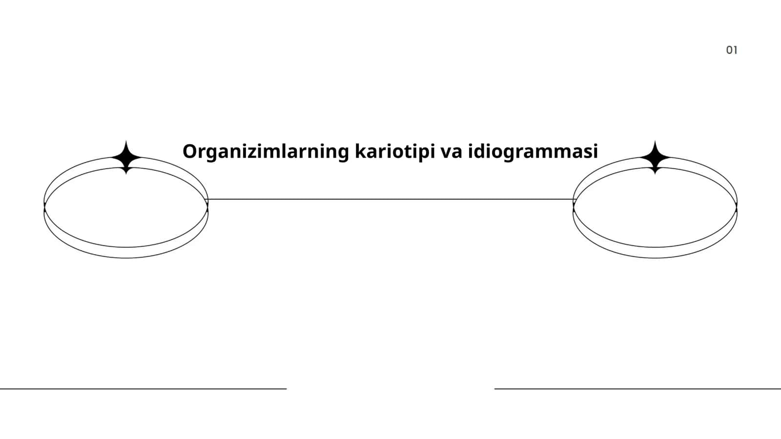 Organizimlarning kariotipi va idiogrammasi 1