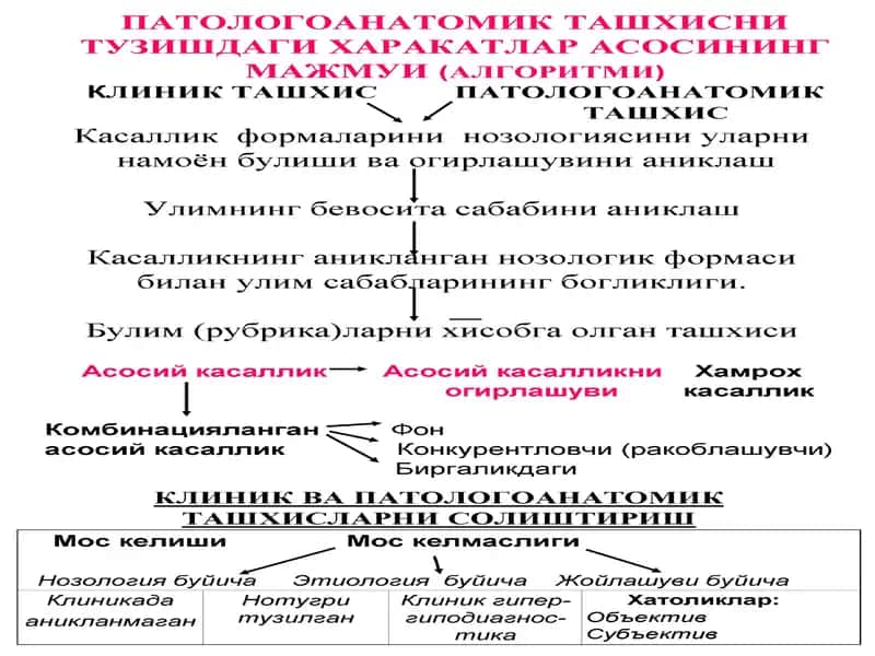 Касалликларидағи ташхис конструкцияси 1