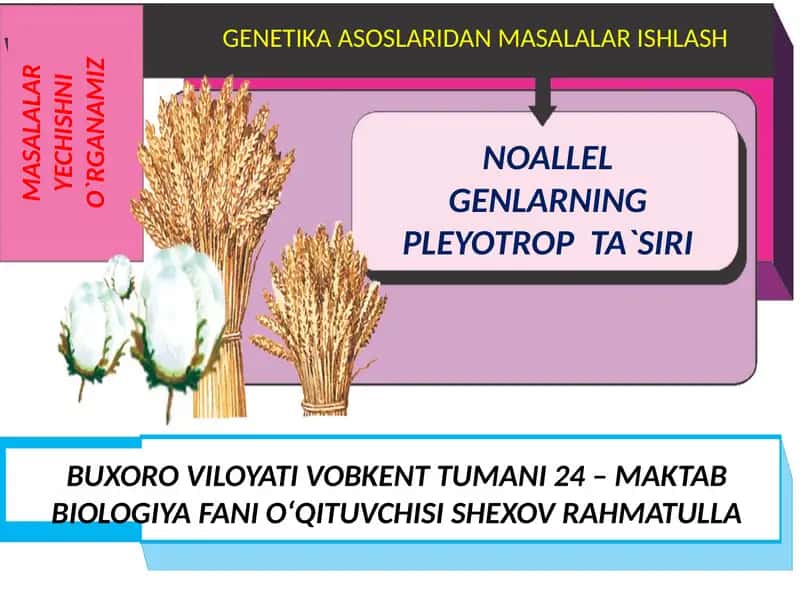 Genetika va inson salomatligi 1