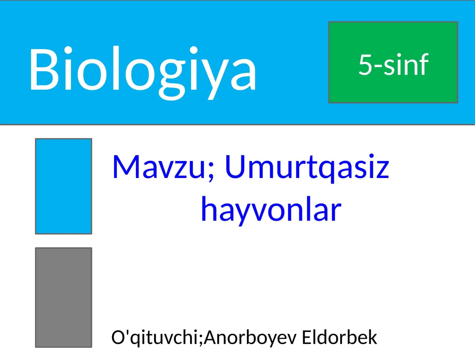 Umurtqasiz hayvonlar 1