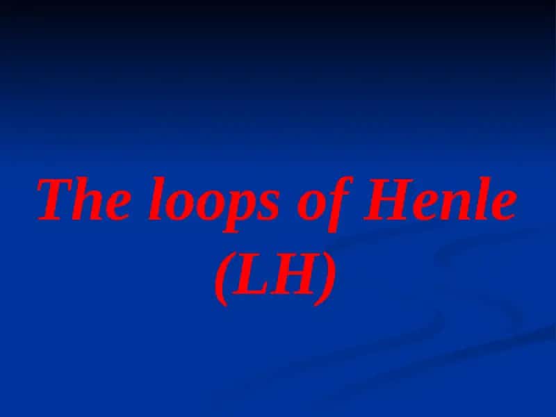 Loops of Henle (LH) 1