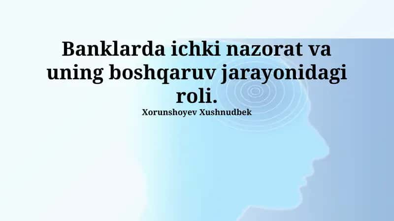 Ichki nazorat tizimi 1