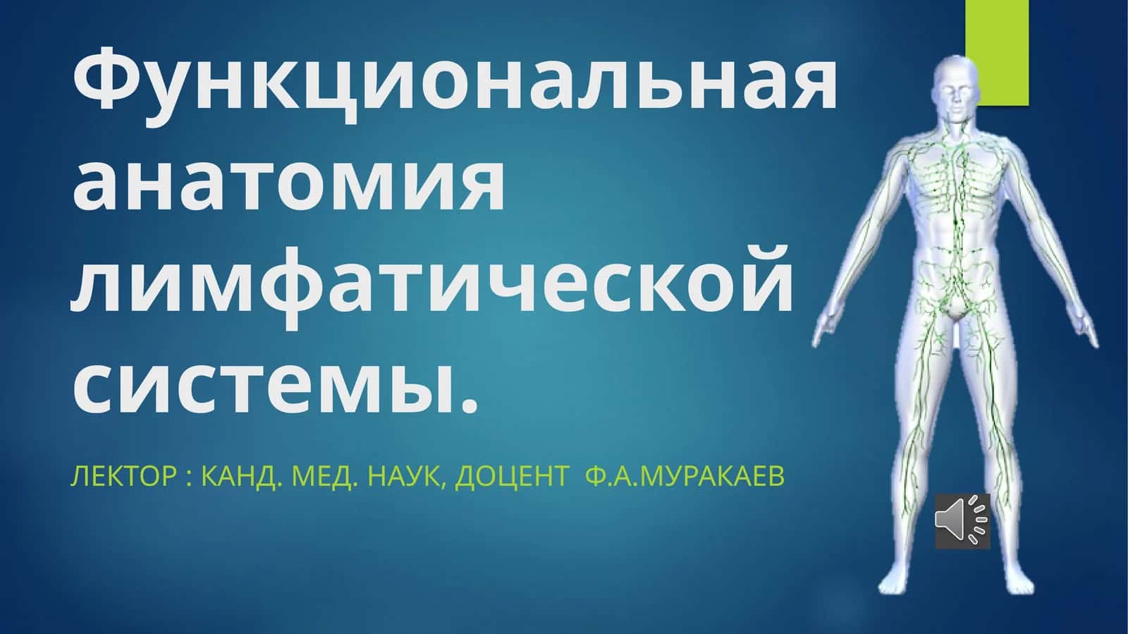 Функциональная анатомия лимфатической системы 1