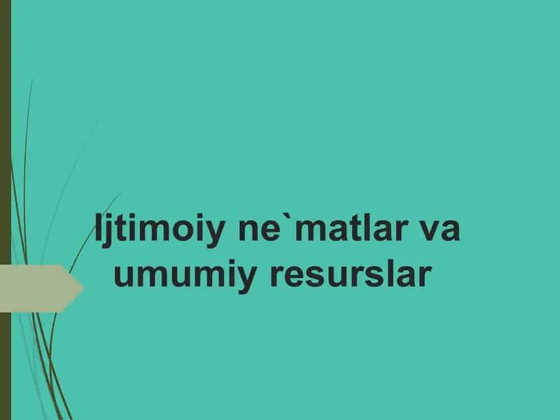 Ijtimoiy ne`matlar va umumiy resurslar 1