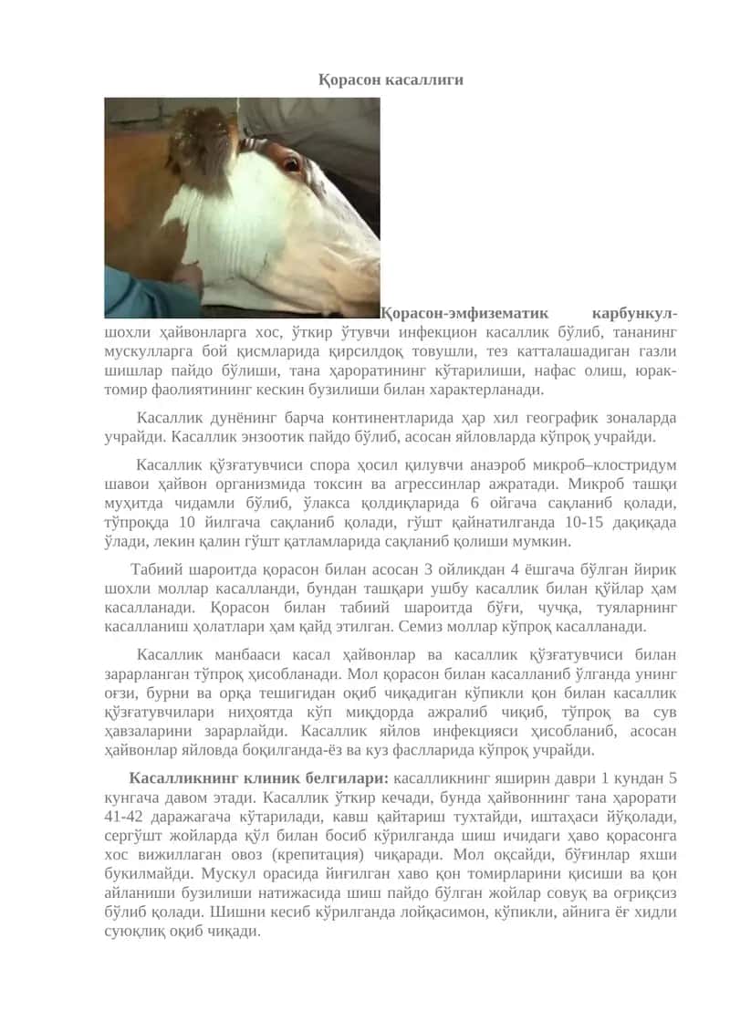 Қорасон касаллиги 1