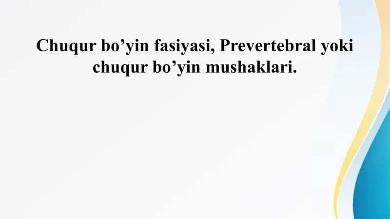 Chuqur bo’yin fasiyasi, Prevertebral yoki chuqur bo’yin mushaklari. 1