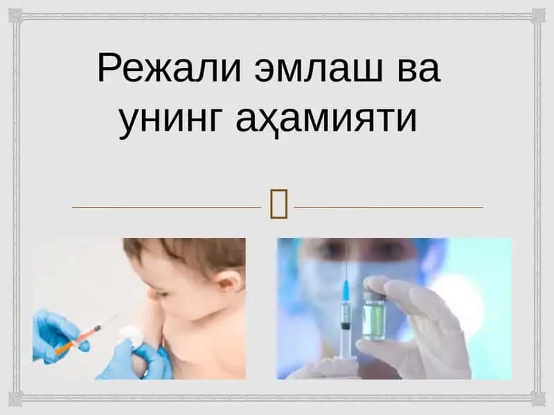 Режали эмлаш ва унинг аҳамияти 1