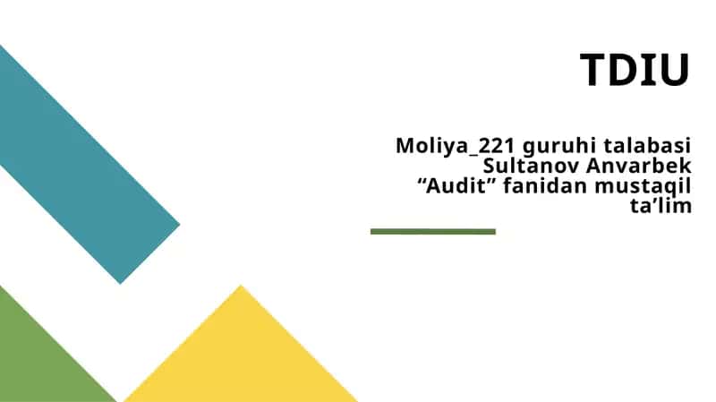 Audit turlari va funksional tasniflari 1
