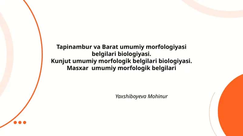 Tapinambur va Barat umumiy morfologiyasi belgilari biologiyasi 1