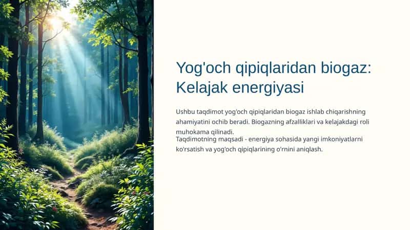 Yog'och qipiqlaridan biogaz: Kelajak energiyasi 1