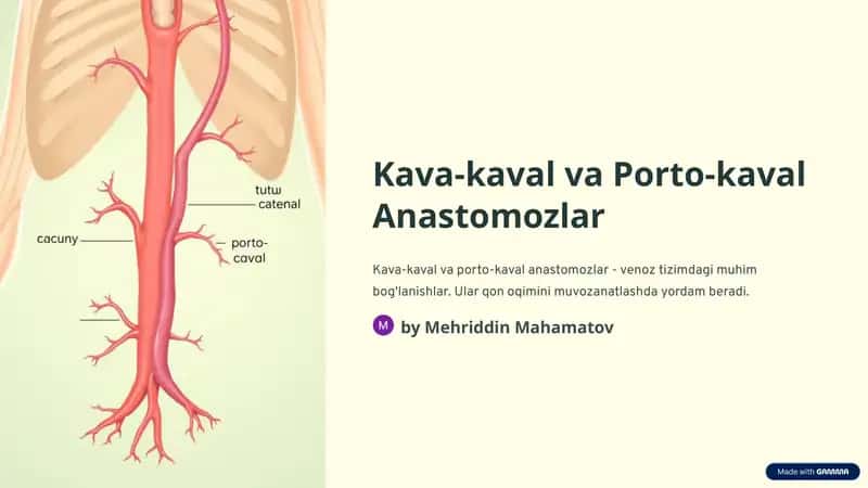 Kava-kaval va Porto-kaval Anastomozlar 1