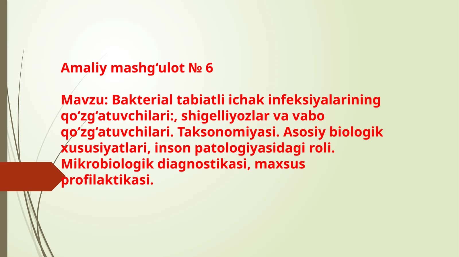 Bakterial tabiatli ichak infeksiyalarining qo‘zg‘atuvchilari, shigelliyozlar va vabo qo‘zg‘atuvchilari. Taksonomiyasi. Asosiy biologik  xususiyatlari, inson patologiyasidagi roli. Mikrobiologik diagnostikasi, maxsus profilaktikasi. 1