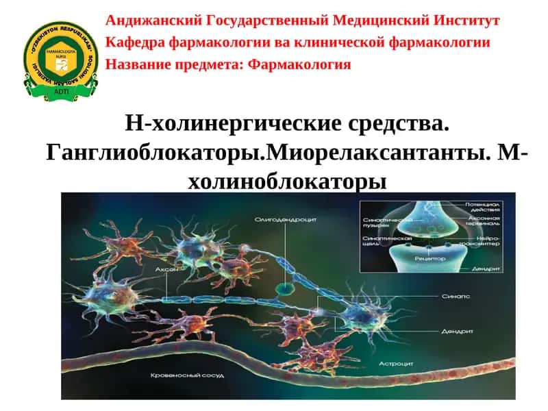 Н-холинергические средства.Ганглиоблокаторы.Миорелаксантанты. М-холиноблокаторы 1