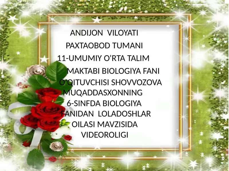 Loladoshlar oilasi mavzusida videoroligi 1