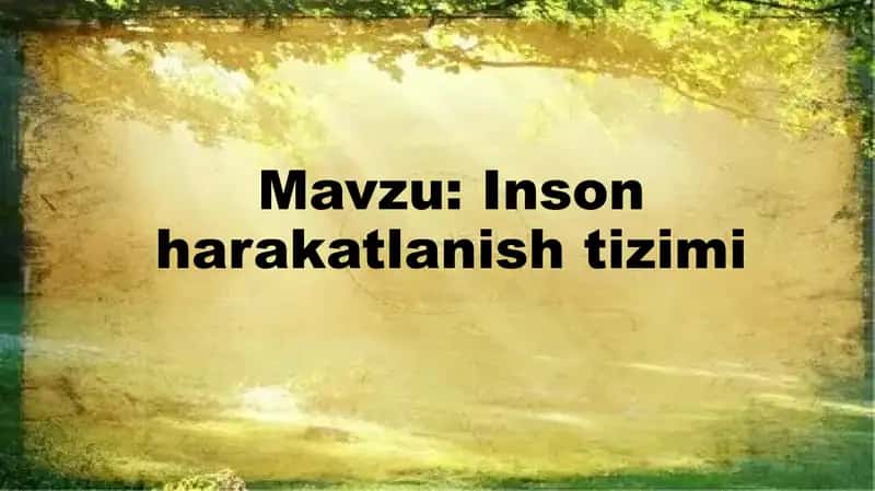 Inson harakatlanish tizimi 1