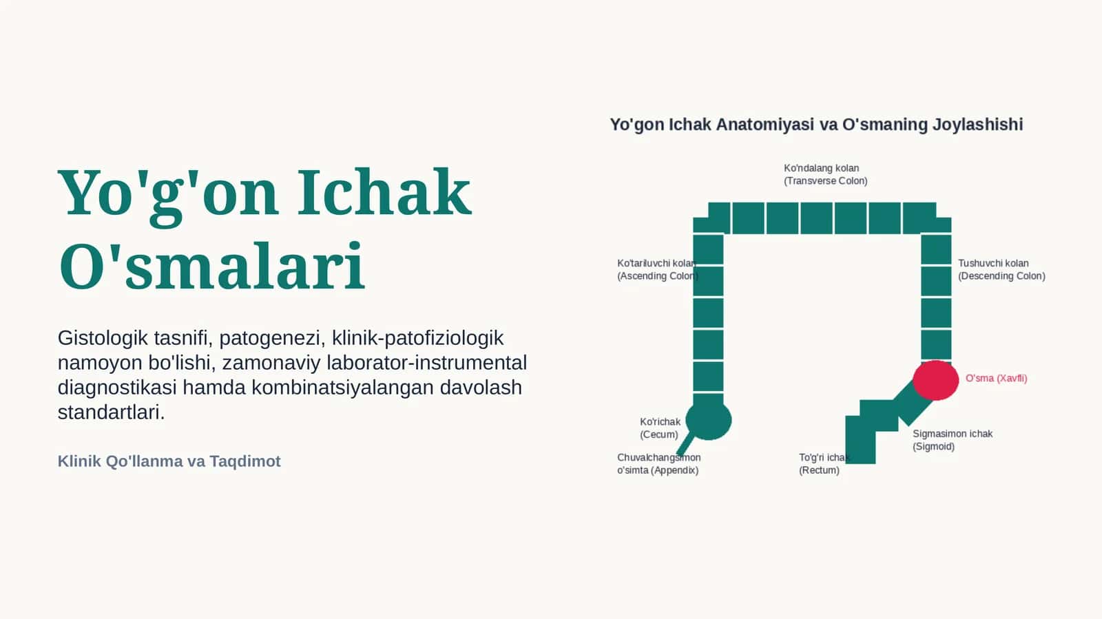 YO‘G‘ON ICHAK O‘SMALARI | 15 SLAYDLI PROFESSIONAL TIBBIY TAQDIMOT 1