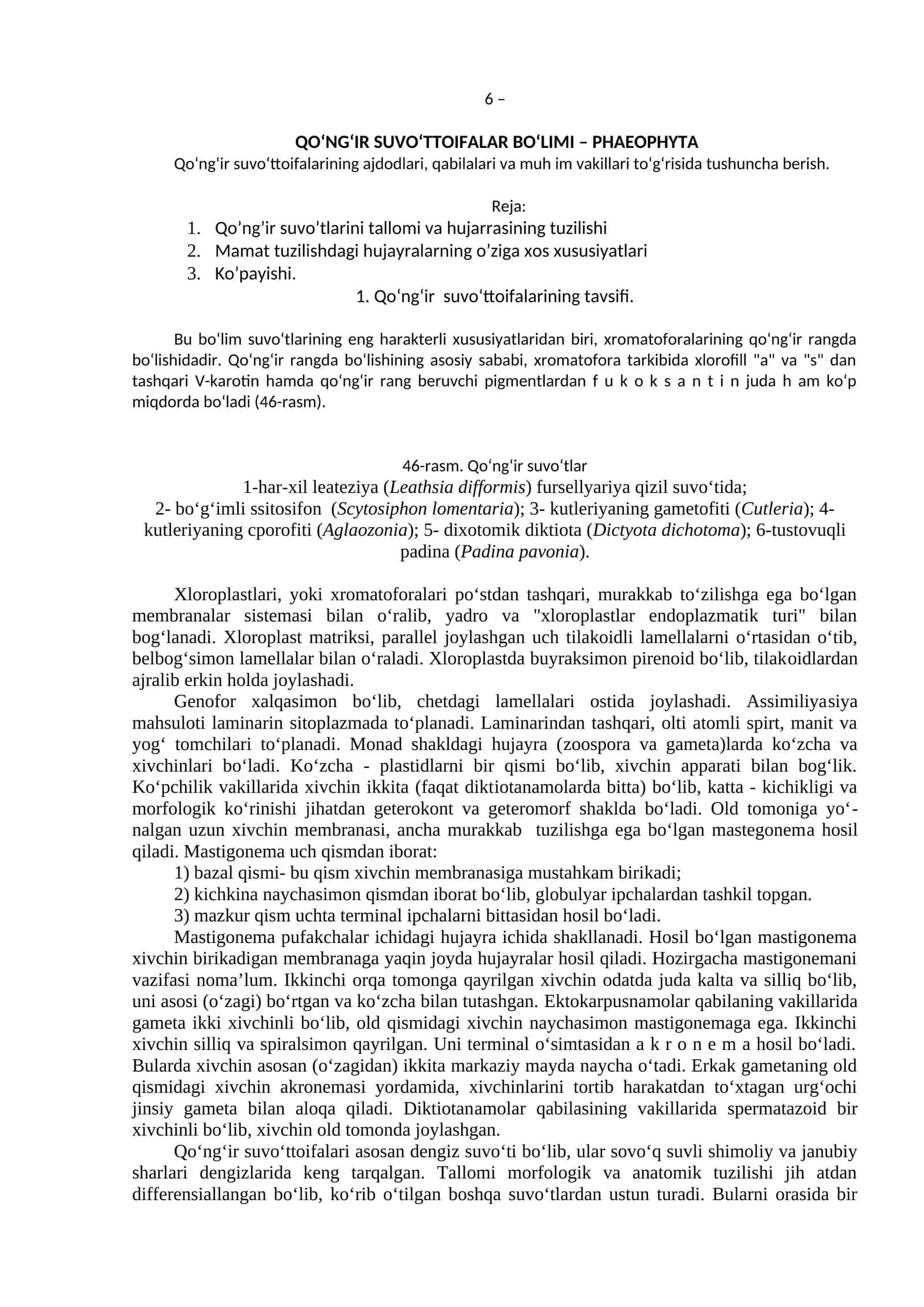 Qo‘ng‘ir suvo‘ttoifalar BO‘LIMI – PHAEOPHYTA 1