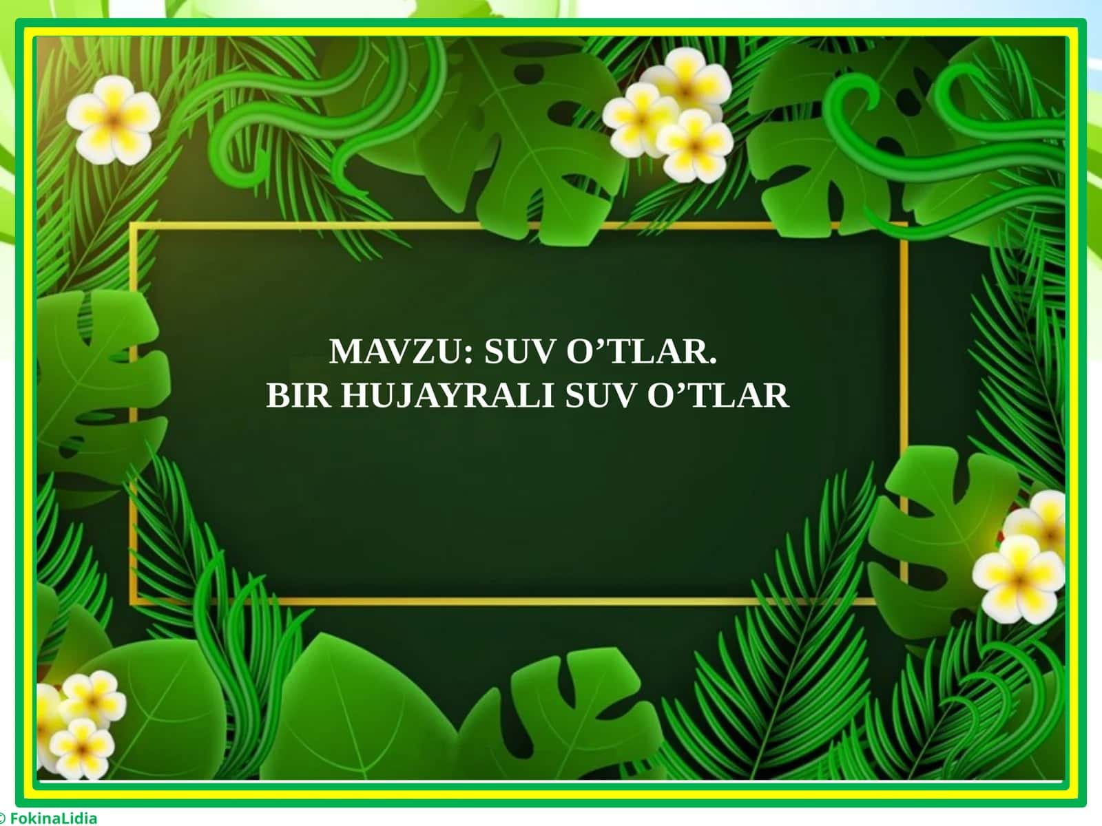 BIR HUJAYRALI SUV O’TLAR 1