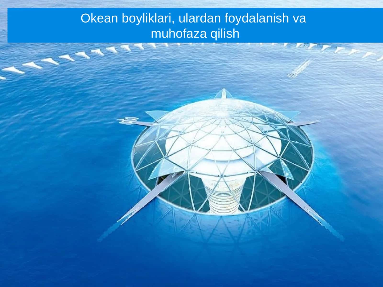 Okean boyliklari, ulardan foydalanish va muhofaza qilish 1