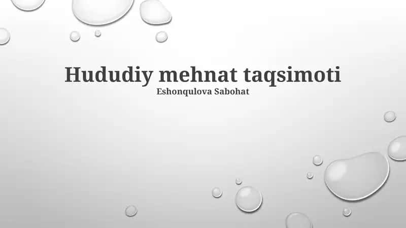Hududiy mehnat taqsimoti 1