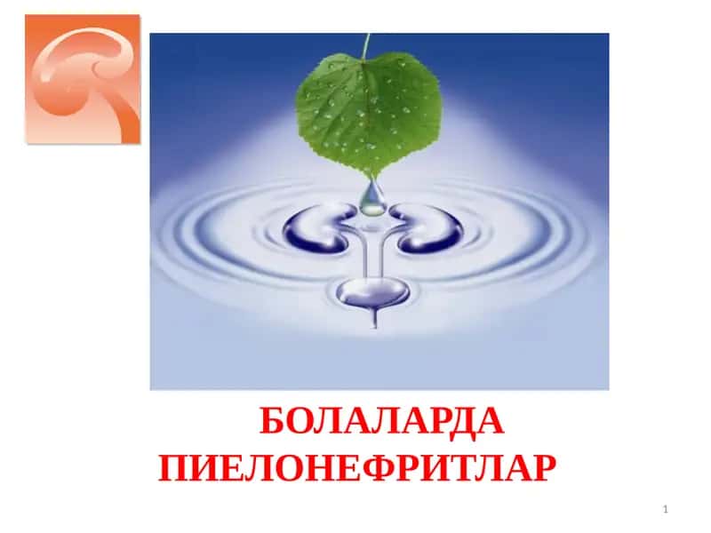 БОЛАЛАРДА ПИЕЛОНЕФРИТЛАР 1