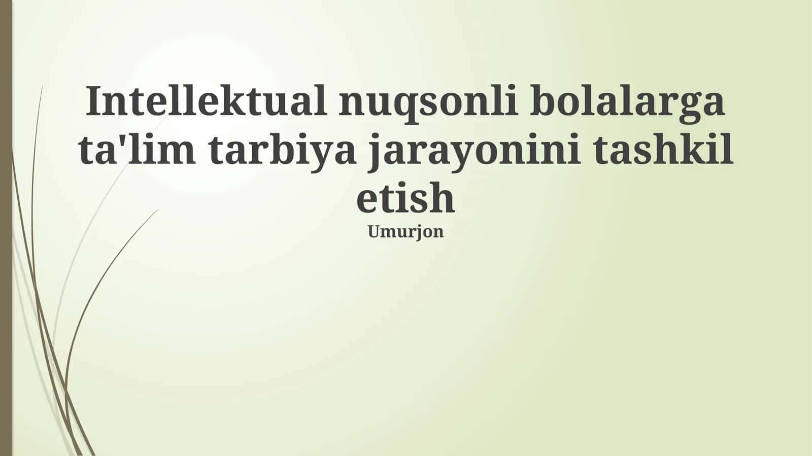 Intellektual nuqsonli bolalarga ta'lim tarbiya jarayonini tashkil etish 1