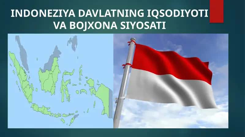 INDONEZIYADAVLATNING IQSODIYOTI VA BOJXONA SIYOSATI 1