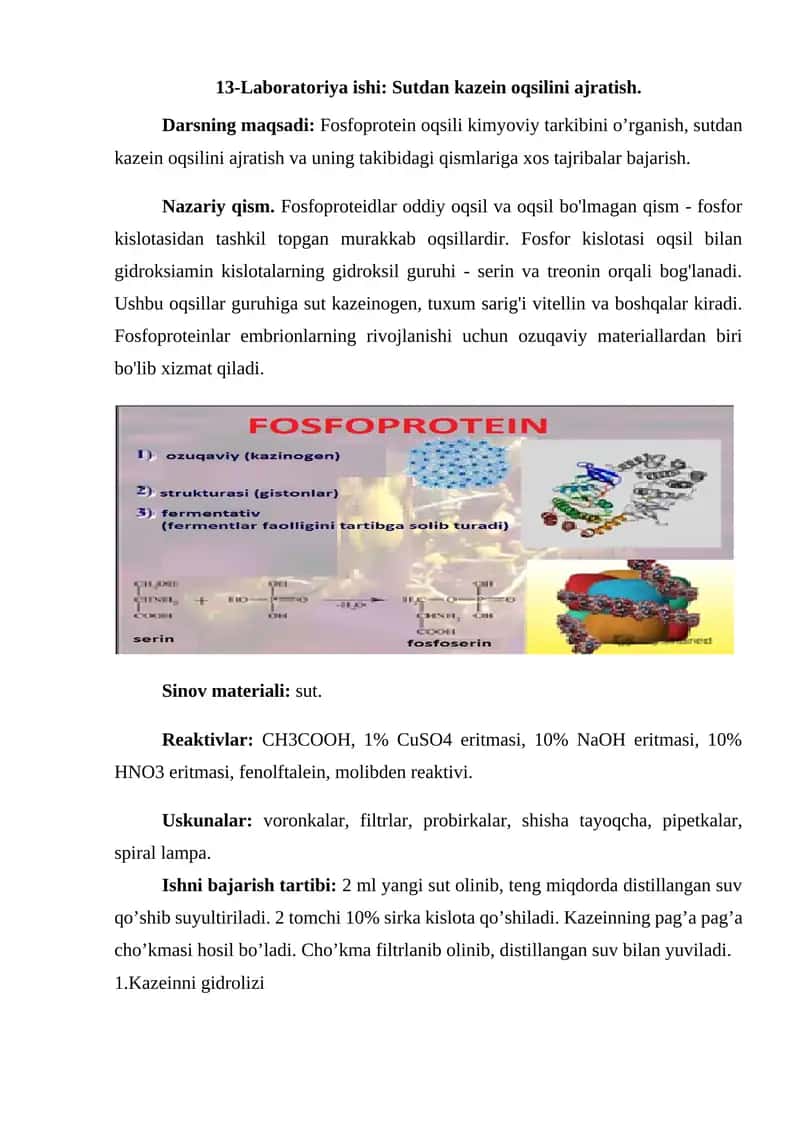 13-Laboratoriya ishi: Sutdan kazein oqsilini ajratish 1