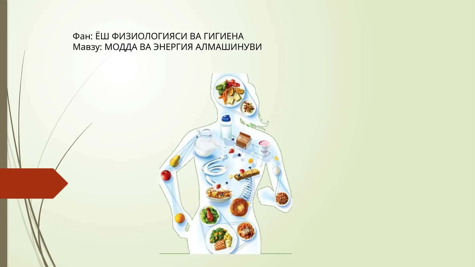 ЁШ ФИЗИОЛОГИЯСИ ВА ГИГИЕНА 1