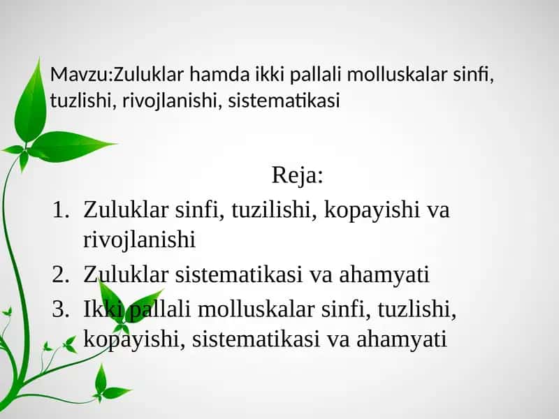 Zuluklar hamda ikki pallali molluskalar sinfi, tuzilishi, rivojlanishi, sistematikasi 1