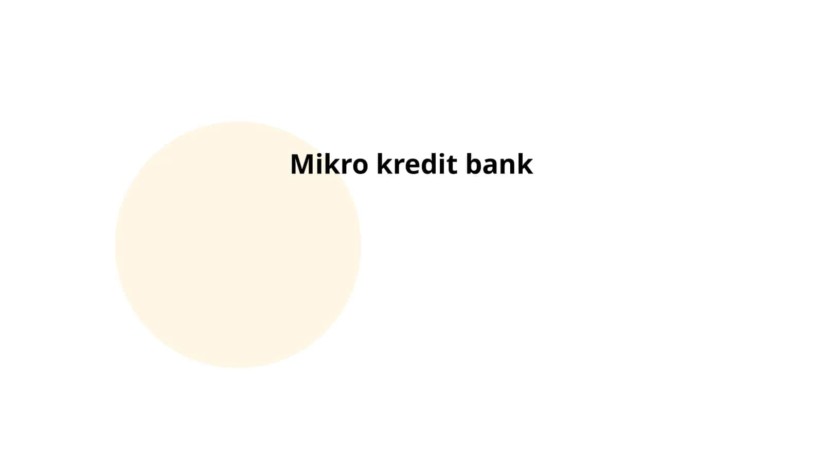 Mikro kredit bank 1
