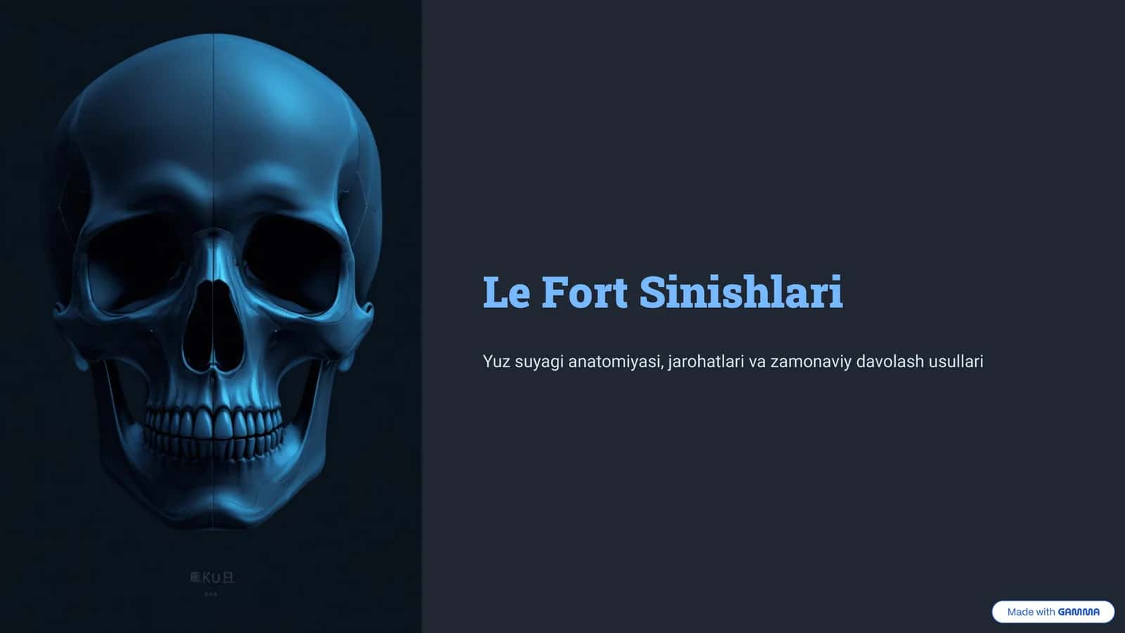 Le Fort Sinishlari 1
