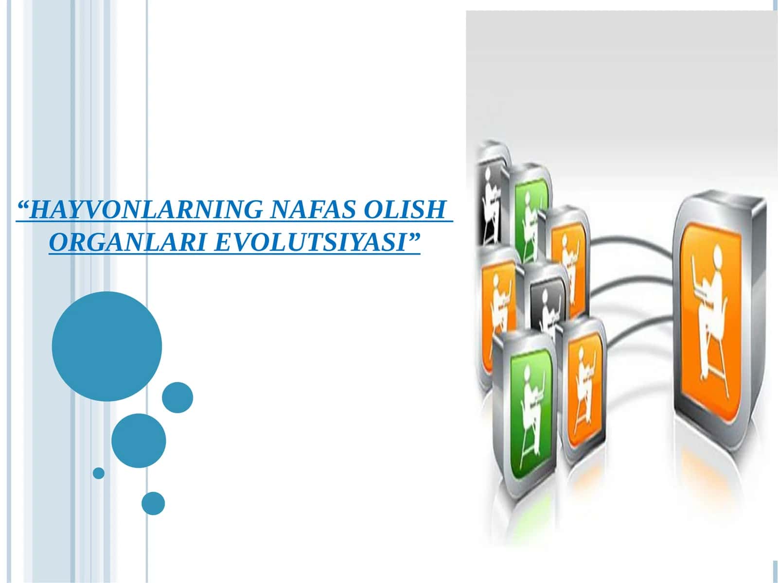 HAYVONLARNING NAFAS OLISH ORGANLARI EVOLUTSIYASI 1