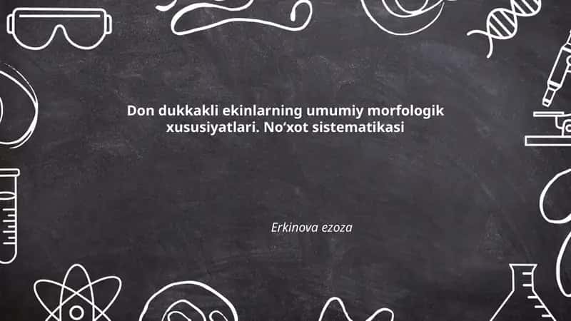 Don dukkakli ekinlarning umumiy morfologik xususiyatlari 1