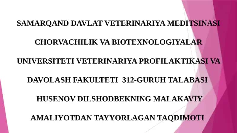 HUSENOV DILSHODBEKNING MALAKAVIY AMALIYOTDAN TAYYORLAGAN TAQDIMOTI 1
