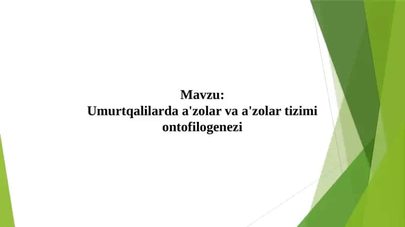 Umurtqalilarda a'zolar va zolartizimi ontogenzi 1