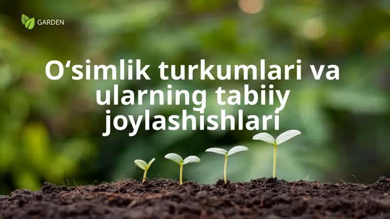O‘simlik turkumlari va ularning tabiiy joylashishlari 1