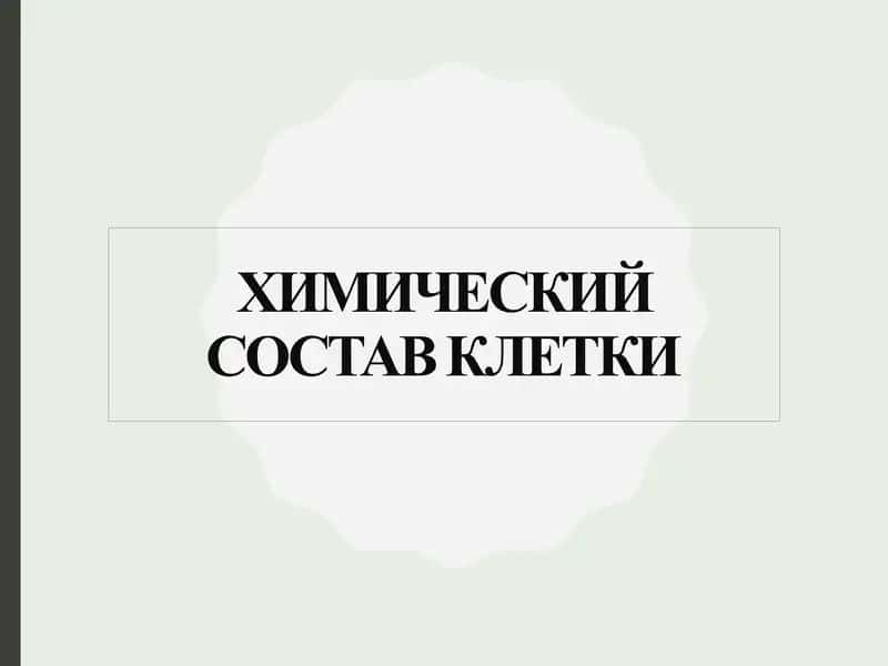 Химический состав клетки 1