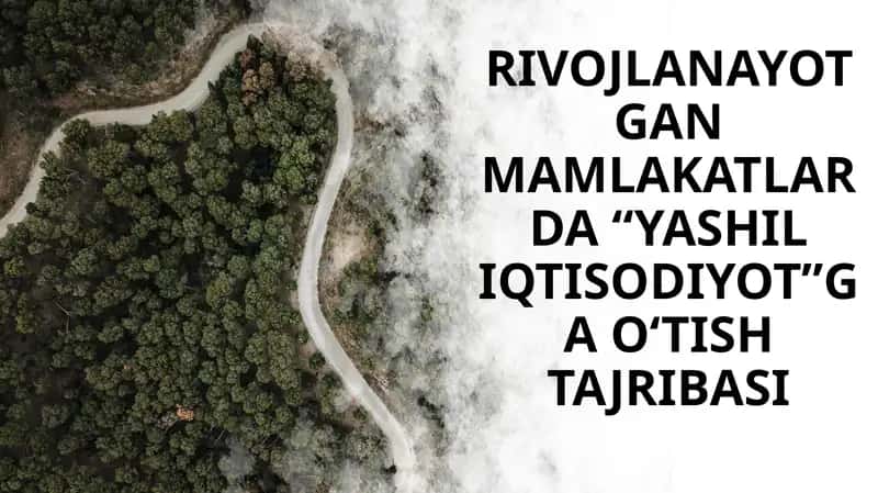 RIVOJLANAYOTGANMAMLAKATLARDA “YASHIL IQTISODIYOT”GA O‘TISH TAJRIBASI 1