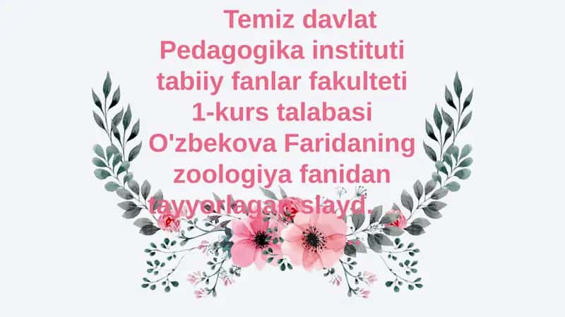 Halqali chuvalchanglar 1