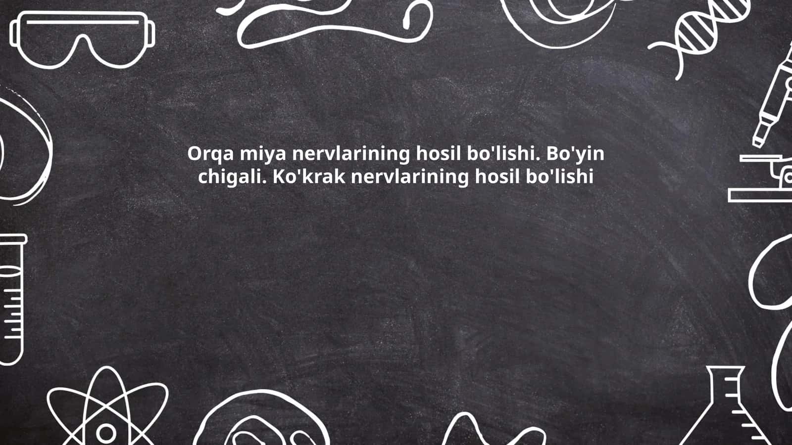 Orqa miya anatomiyasi 1