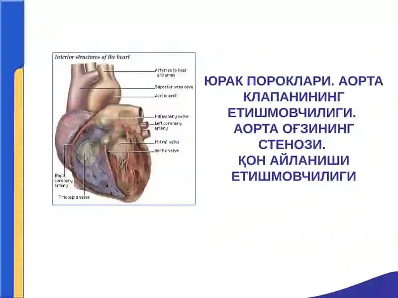 ЮРАК ПОРОКЛАРИ. АОРТА КЛАПАНИНИНГ ЕТИШМОВЧИЛИГИ. 
АОРТА ОҒЗИНИНГ СТЕНОЗИ. 
ҚОН АЙЛАНИШИ ЕТИШМОВЧИЛ
