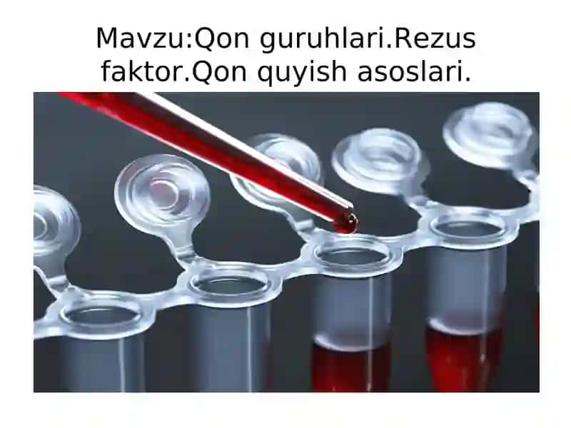 Qon guruhlari