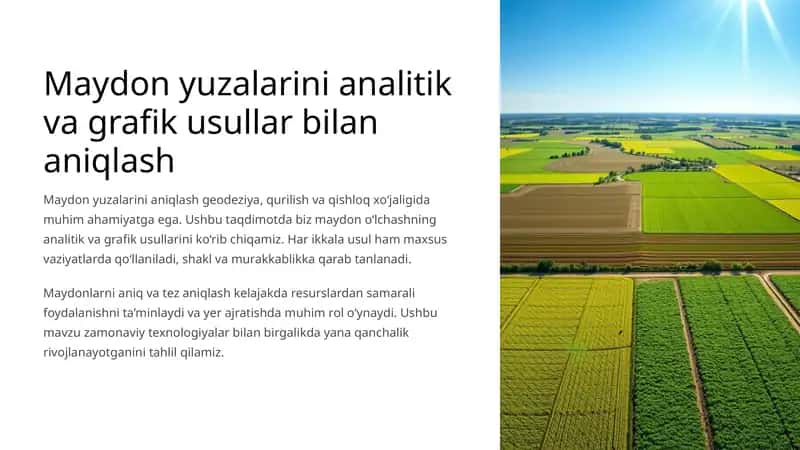 Maydon yuzalarini analitik va grafik usullar bilan aniqlash 1