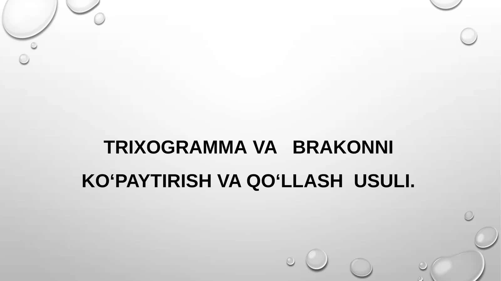 Trixogramma va brakonni ko‘paytirish va qo‘llash usuli 1